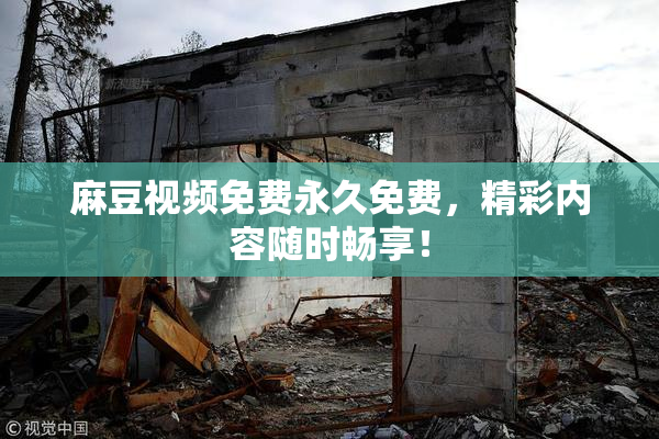 麻豆视频免费永久免费，精彩内容随时畅享！