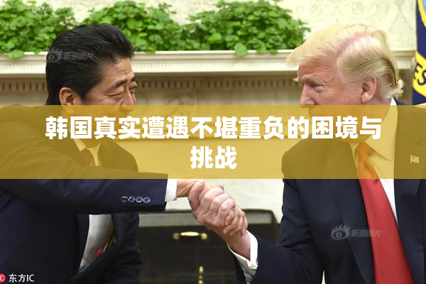 韩国真实遭遇不堪重负的困境与挑战