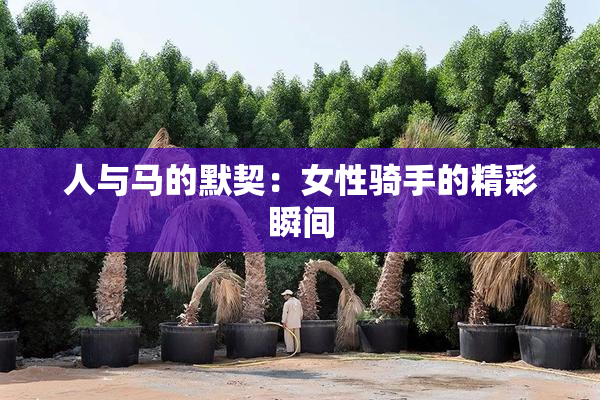 人与马的默契：女性骑手的精彩瞬间