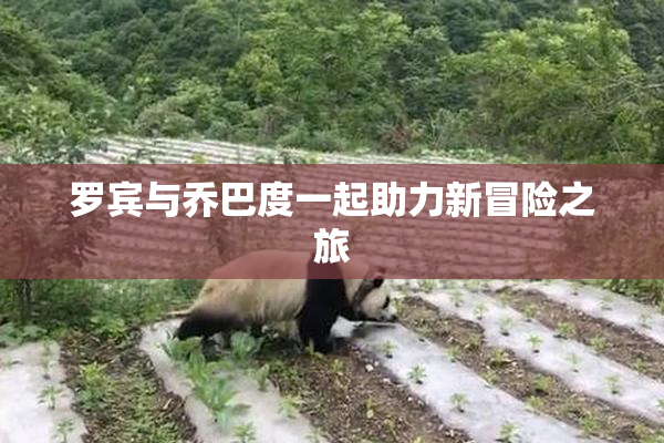 罗宾与乔巴度一起助力新冒险之旅