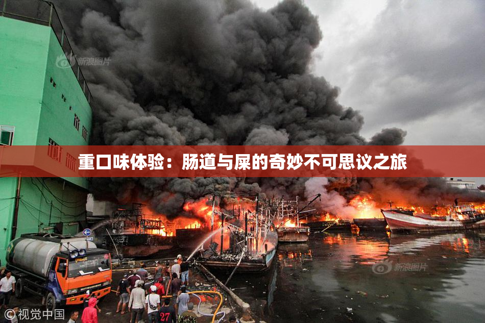 重口味体验：肠道与屎的奇妙不可思议之旅