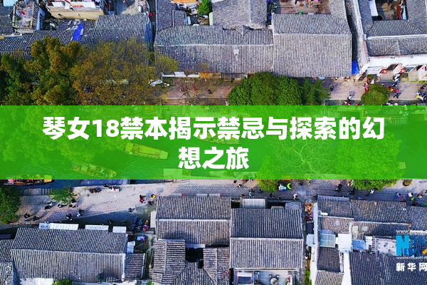 琴女18禁本揭示禁忌与探索的幻想之旅