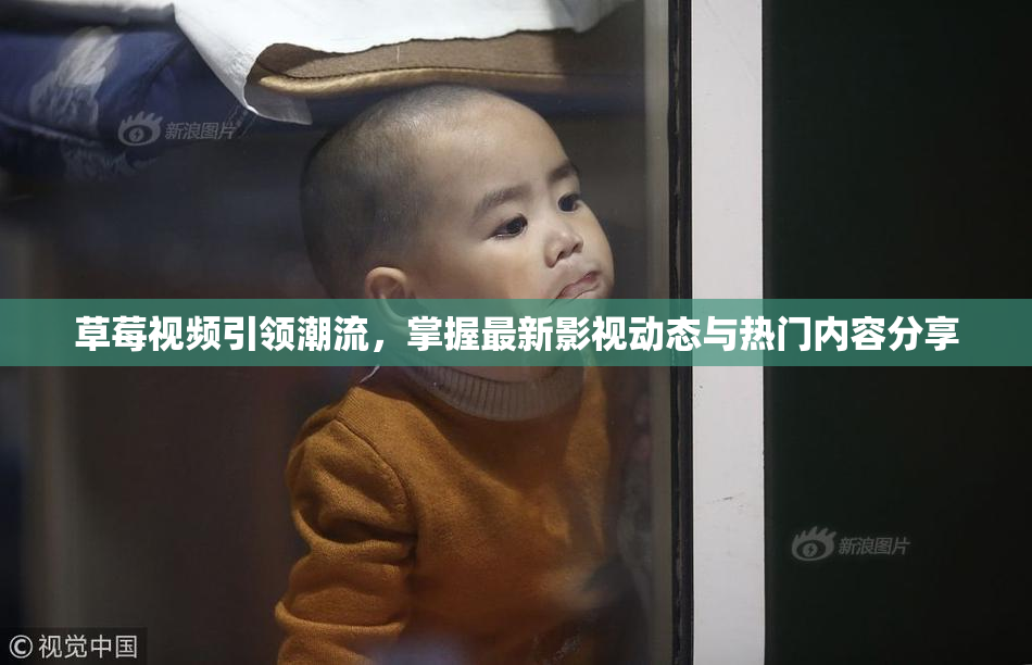草莓视频引领潮流，掌握最新影视动态与热门内容分享