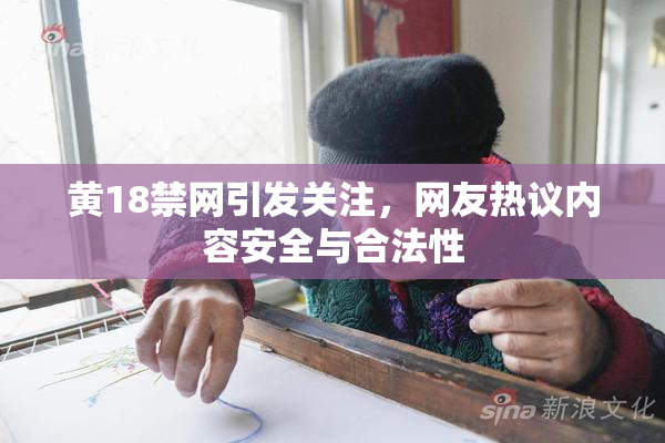 黄18禁网引发关注，网友热议内容安全与合法性