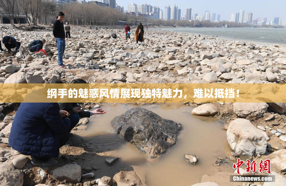 纲手的魅惑风情展现独特魅力，难以抵挡！