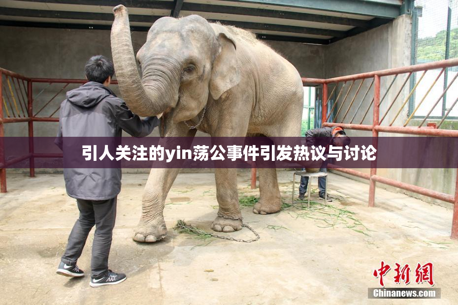 引人关注的yin荡公事件引发热议与讨论