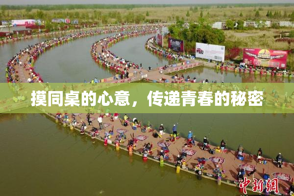 摸同桌的心意，传递青春的秘密