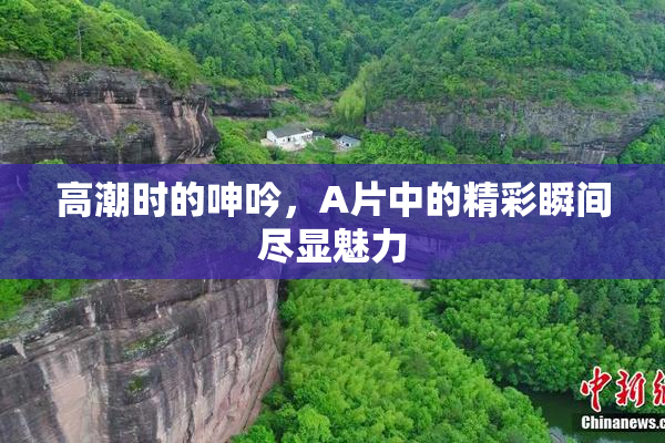 高潮时的呻吟，A片中的精彩瞬间尽显魅力