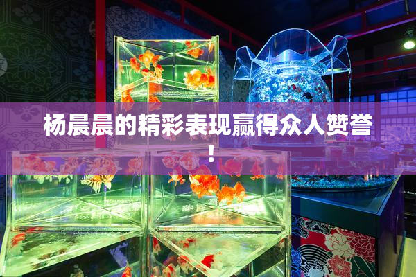 杨晨晨的精彩表现赢得众人赞誉！