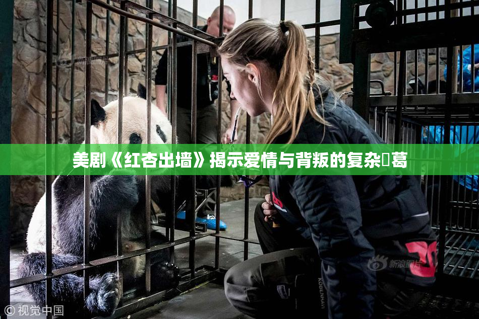 美剧《红杏出墙》揭示爱情与背叛的复杂糾葛