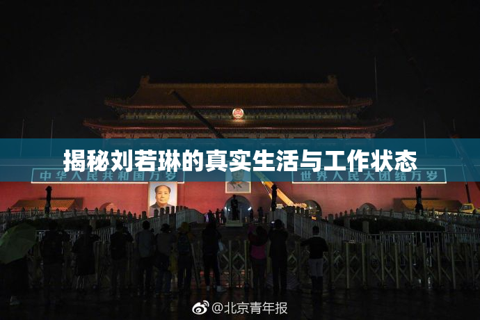 揭秘刘若琳的真实生活与工作状态