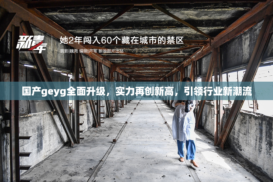 国产geyg全面升级，实力再创新高，引领行业新潮流