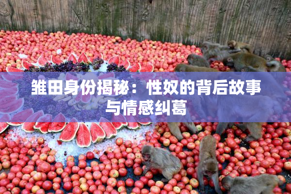 雏田身份揭秘：性奴的背后故事与情感纠葛