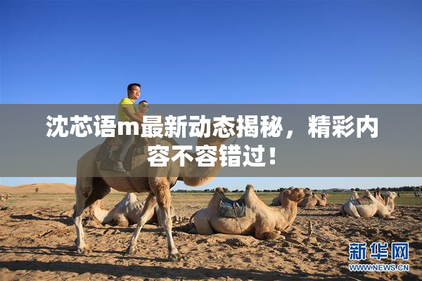 沈芯语m最新动态揭秘，精彩内容不容错过！