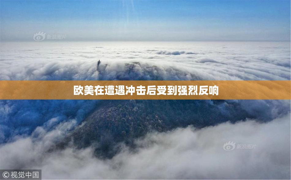 欧美在遭遇冲击后受到强烈反响