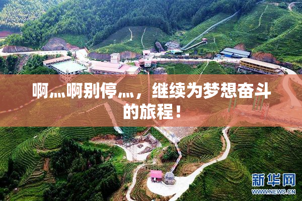 啊灬啊别停灬，继续为梦想奋斗的旅程！