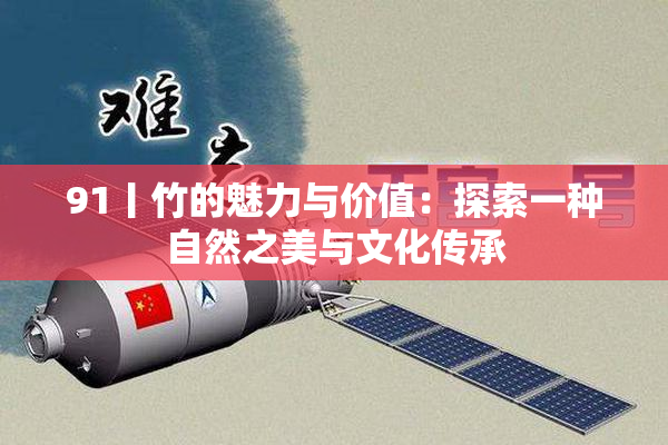 91丨竹的魅力与价值：探索一种自然之美与文化传承