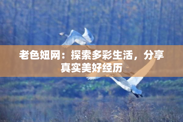老色妞网：探索多彩生活，分享真实美好经历