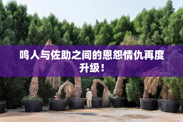 鸣人与佐助之间的恩怨情仇再度升级！