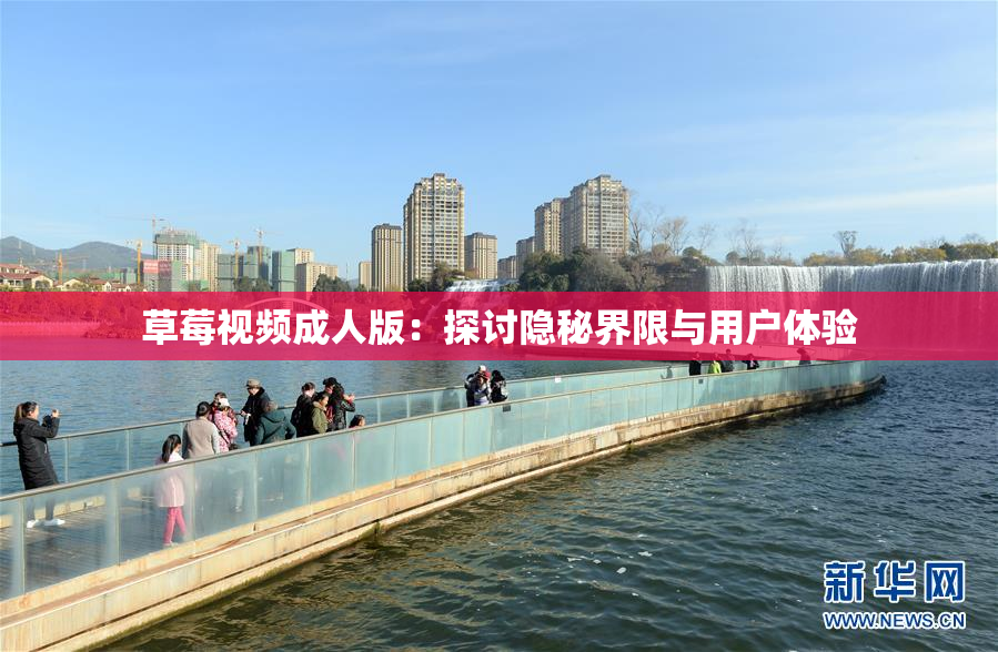 草莓视频成人版：探讨隐秘界限与用户体验