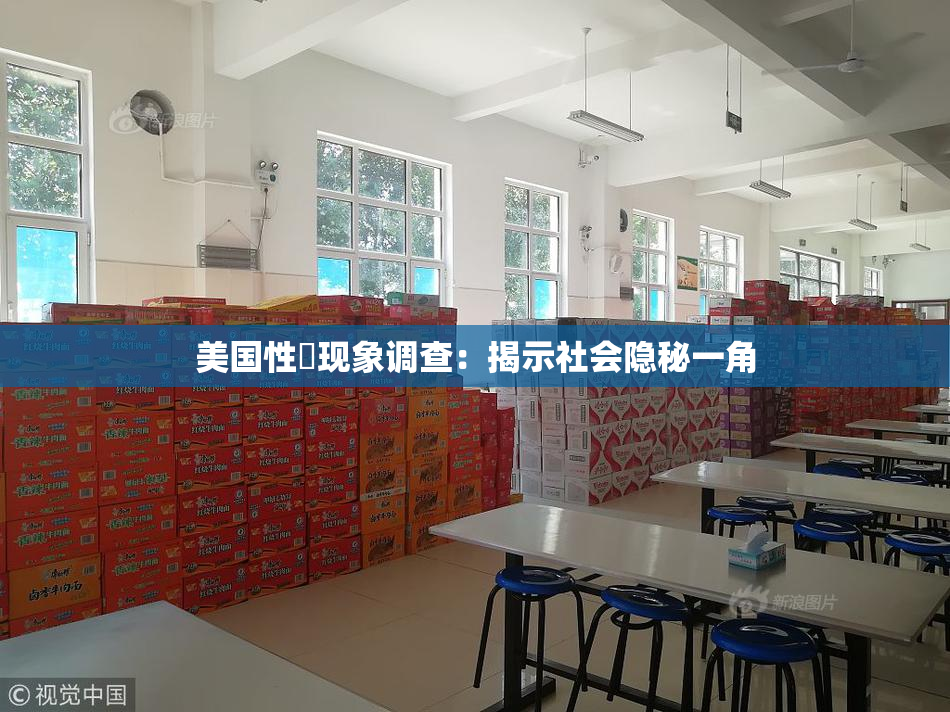 美国性婬现象调查：揭示社会隐秘一角