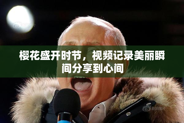 樱花盛开时节，视频记录美丽瞬间分享到心间