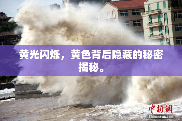 黄光闪烁，黄色背后隐藏的秘密揭秘。