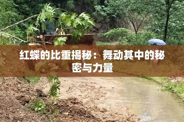 红蝶的比重揭秘：舞动其中的秘密与力量