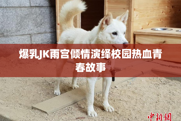 爆乳JK雨宫倾情演绎校园热血青春故事