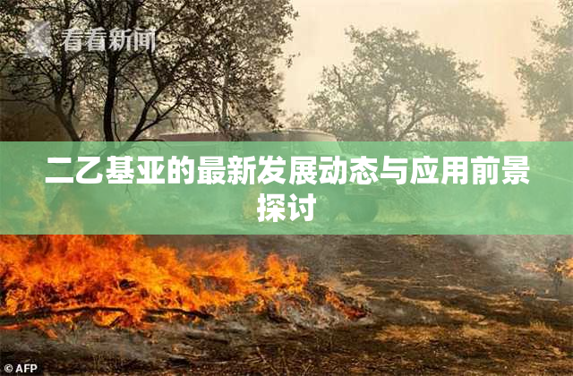 二乙基亚的最新发展动态与应用前景探讨