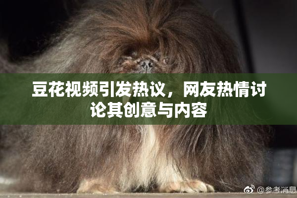 豆花视频引发热议，网友热情讨论其创意与内容