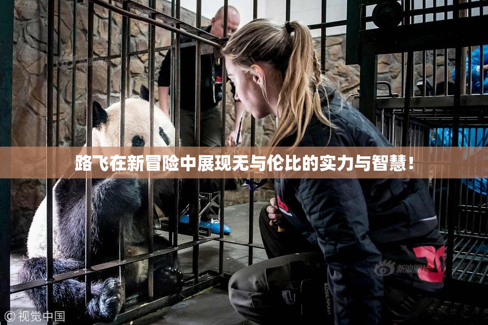 路飞在新冒险中展现无与伦比的实力与智慧！