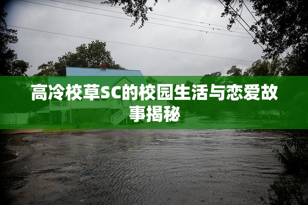 高冷校草SC的校园生活与恋爱故事揭秘