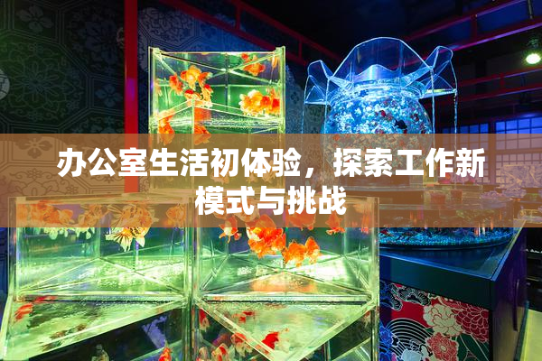 办公室生活初体验，探索工作新模式与挑战