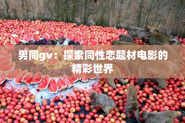 男同gv：探索同性恋题材电影的精彩世界