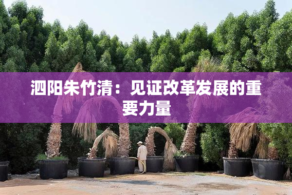 泗阳朱竹清：见证改革发展的重要力量