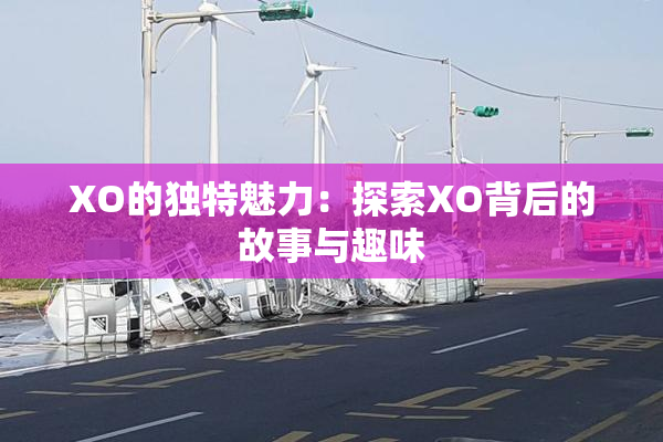 XO的独特魅力：探索XO背后的故事与趣味