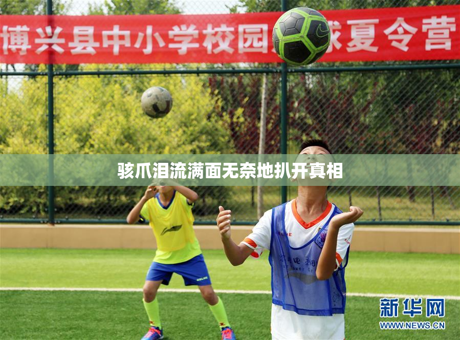 骇爪泪流满面无奈地扒开真相