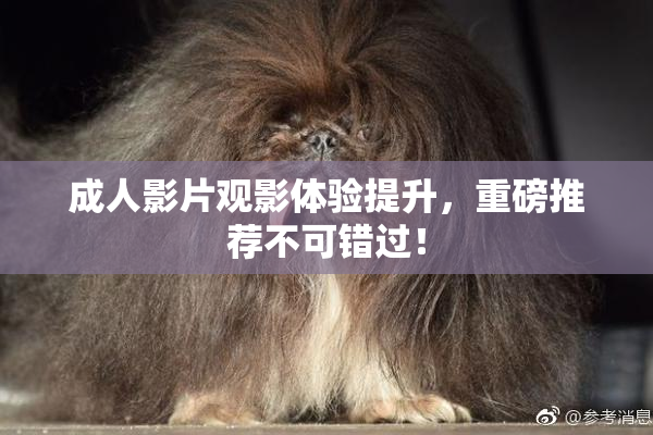 成人影片观影体验提升，重磅推荐不可错过！