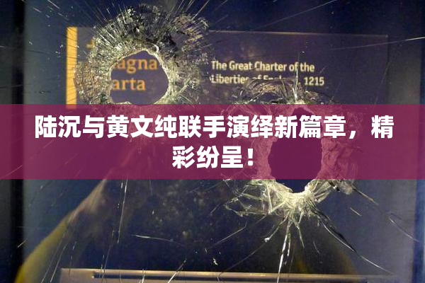 陆沉与黄文纯联手演绎新篇章，精彩纷呈！