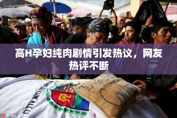 高H孕妇纯肉剧情引发热议，网友热评不断