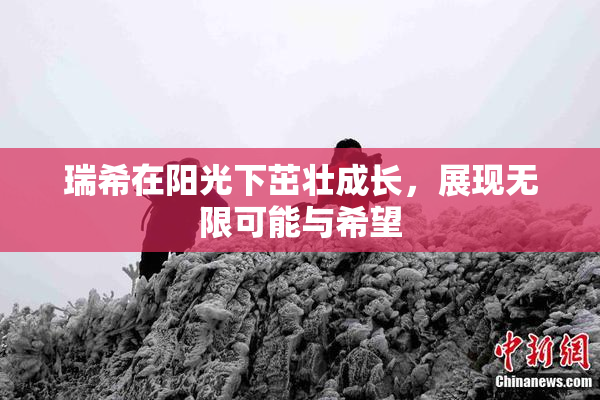 瑞希在阳光下茁壮成长，展现无限可能与希望