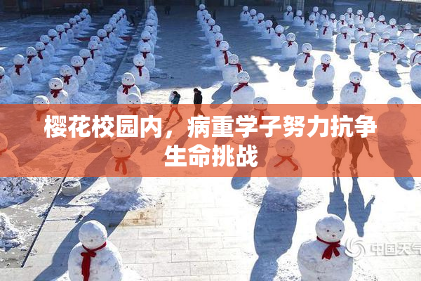 樱花校园内，病重学子努力抗争生命挑战