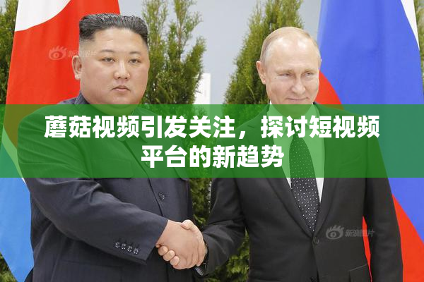 蘑菇视频引发关注，探讨短视频平台的新趋势