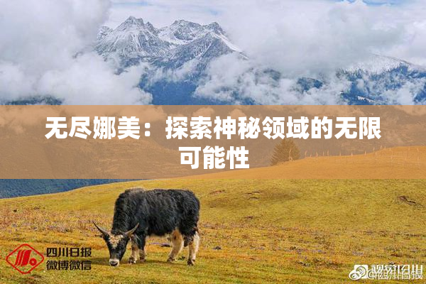 无尽娜美：探索神秘领域的无限可能性