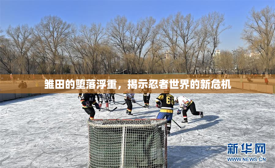 雏田的堕落浮重，揭示忍者世界的新危机