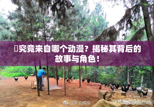 凪究竟来自哪个动漫？揭秘其背后的故事与角色！
