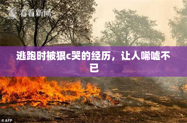逃跑时被狠c哭的经历，让人唏嘘不已