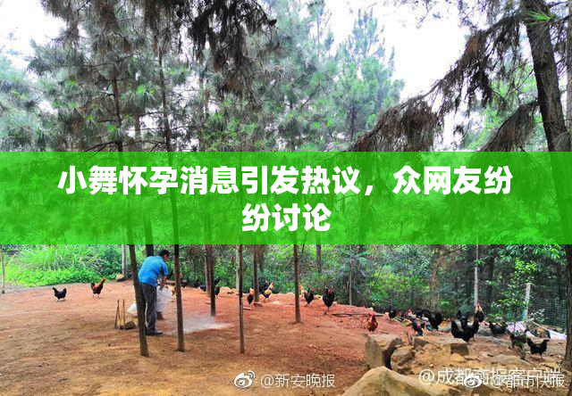 小舞怀孕消息引发热议，众网友纷纷讨论