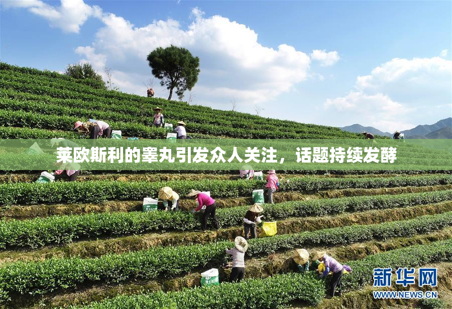 莱欧斯利的睾丸引发众人关注，话题持续发酵